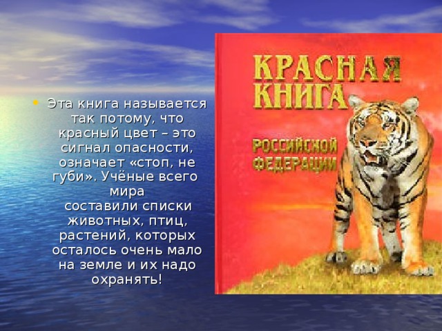 Эта книга называется так потому, что красный цвет – это сигнал опасности, означает «стоп, не губи». Учёные всего мира  составили списки животных, птиц, растений, которых осталось очень мало на земле и их надо охранять! 