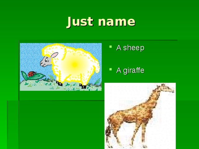 Just name A sheep  A giraffe    