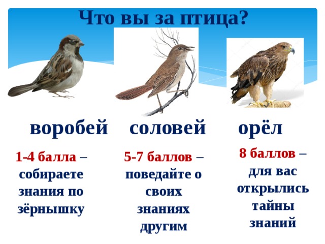 Что вы за птица? воробей соловей орёл 8 баллов – для вас открылись тайны знаний 1-4 балла – собираете знания по зёрнышку 5-7 баллов – поведайте о своих знаниях другим 