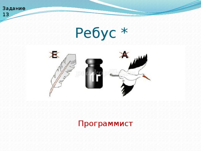 Задание 13 Ребус * Программист 