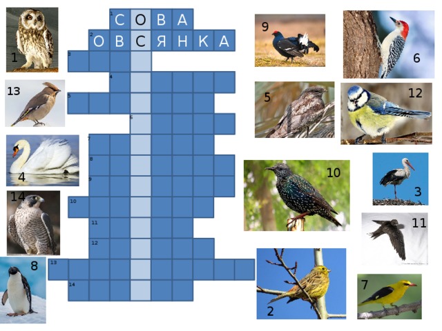 1 О А В С 9 2 Я С В О А К Н 1 1 6 3 4 13 12 5 5 6 7 8 10 4 9 3 14 10 11 11 12 8 13 7 14 2 2  