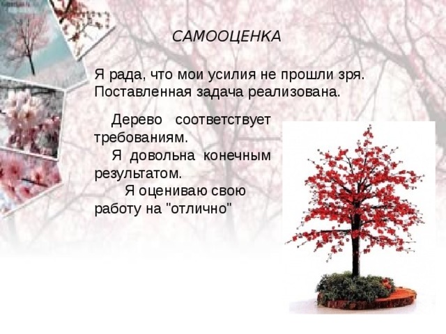 САМООЦЕНКА Я рада, что мои усилия не прошли зря. Поставленная задача реализована. Дерево соответствует требованиям. Я довольна конечным результатом.  Я оцениваю свою работу на 