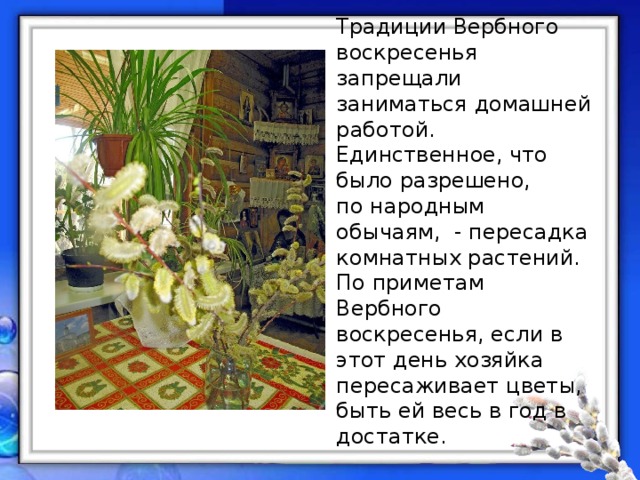 Традиции Вербного воскресенья запрещали заниматься домашней работой. Единственное, что было разрешено, по народным обычаям,  - пересадка комнатных растений. По приметам Вербного воскресенья, если в этот день хозяйка пересаживает цветы, быть ей весь в год в достатке. 