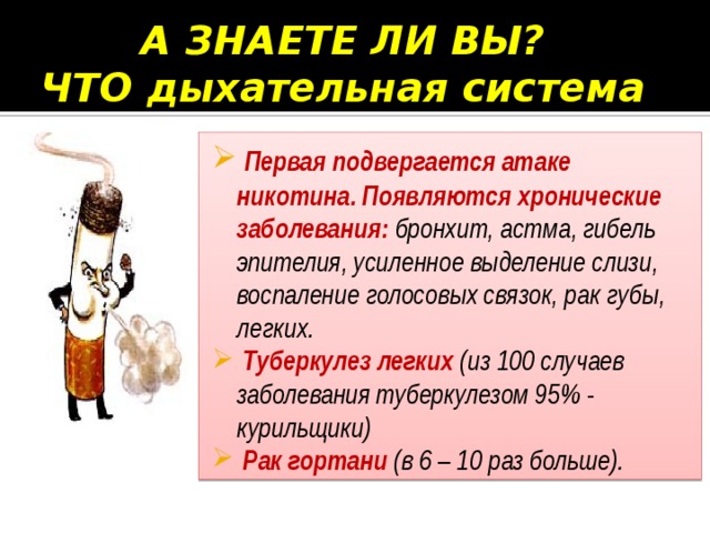 А ЗНАЕТЕ ЛИ ВЫ?  ЧТО дыхательная система  Первая подвергается атаке никотина. Появляются хронические заболевания:  бронхит, астма, гибель эпителия, усиленное выделение слизи, воспаление голосовых связок, рак губы, легких.  Туберкулез легких  (из 100 случаев заболевания туберкулезом 95% - курильщики)  Рак гортани  (в 6 – 10 раз больше). 