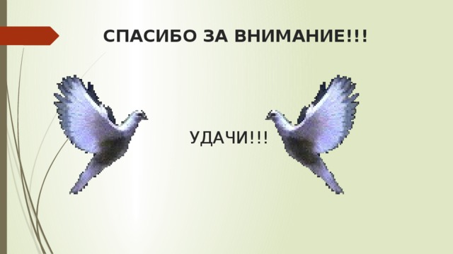  СПАСИБО ЗА ВНИМАНИЕ!!!       УДАЧИ!!! 