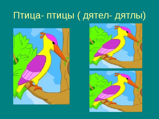 Птица- птицы ( дятел- дятлы) 