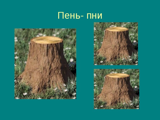 Пень- пни 