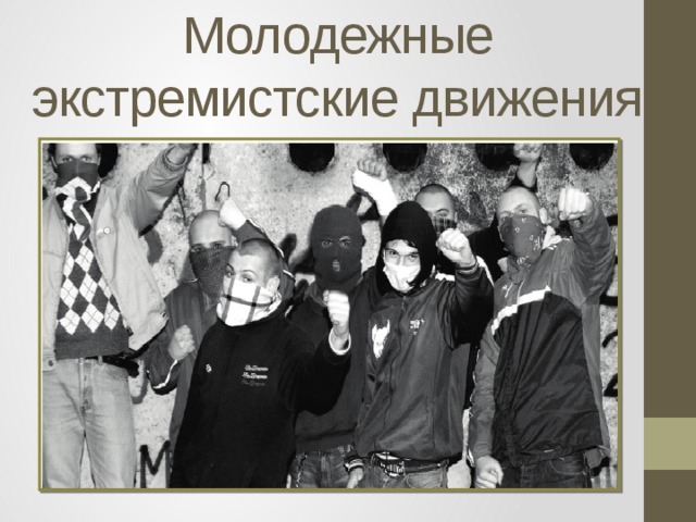 Молодежные экстремистские движения 