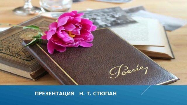  презентация н. т. стюпан 