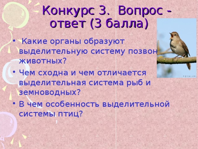  Конкурс 3. Вопрос - ответ (3 балла)  Какие органы образуют выделительную систему позвоночных животных? Чем сходна и чем отличается выделительная система рыб и земноводных? В чем особенность выделительной системы птиц?  
