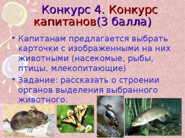  Конкурс 4. Конкурс капитанов (3 балла) Капитанам предлагается выбрать карточки с изображенными на них животными (насекомые, рыбы, птицы, млекопитающие) Задание: рассказать о строении органов выделения выбранного животного.  