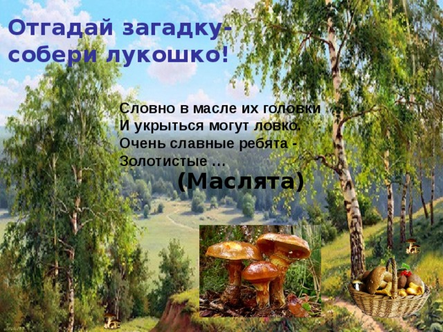 Отгадай загадку- собери лукошко! Словно в масле их головки  И укрыться могут ловко.  Очень славные ребята -  Золотистые … (Маслята)    