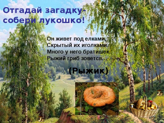 Отгадай загадку- собери лукошко! Он живет под елками,  Скрытый их иголками.  Много у него братишек.  Рыжий гриб зовется…  (Рыжик) 