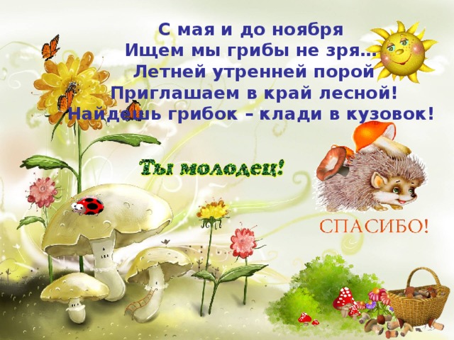 С мая и до ноября   Ищем мы грибы не зря…   Летней утренней порой  Приглашаем в край лесной! Найдешь грибок – клади в кузовок! 
