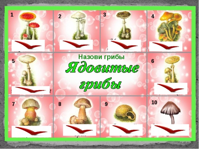 3 1 4 2 Назови грибы 6 5 10 7 8 9 