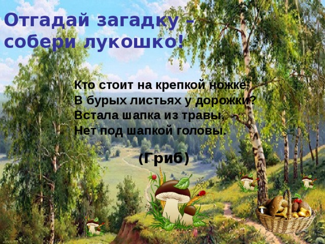 Отгадай загадку – собери лукошко! Кто стоит на крепкой ножке  В бурых листьях у дорожки?  Встала шапка из травы,  Нет под шапкой головы. ( Гриб) 