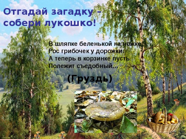 Отгадай загадку – собери лукошко! В шляпке беленькой на ножке  Рос грибочек у дорожки.  А теперь в корзинке пусть  Полежит съедобный…  (Груздь) 