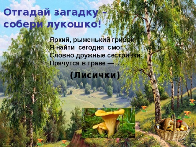 Отгадай загадку – собери лукошко! Яркий, рыженький грибок  Я найти  сегодня  смог.  Словно дружные сестрички  Прячутся в траве — …  (Лисички)    