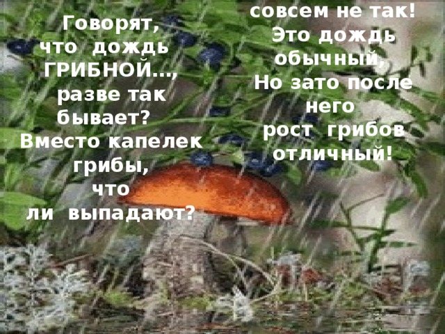  Вот и нет, совсем не так!  Это дождь обычный,   Но зато после него   рост  грибов отличный!    Говорят, что  дождь   ГРИБНОЙ…,  разве так бывает?    Вместо капелек грибы,  что ли  выпадают?   