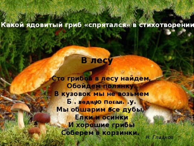 Какой ядовитый гриб «спрятался» в стихотворении? В лесу Сто грибов в лесу найдем,  Обойдем полянку.  В кузовок мы не возьмем  Б . . . . .ю п. . . . .у.  Мы обшарим все дубы,   Елки и осинки  И хорошие грибы  Соберем в корзинки. ледну оганк Н. Гладков  