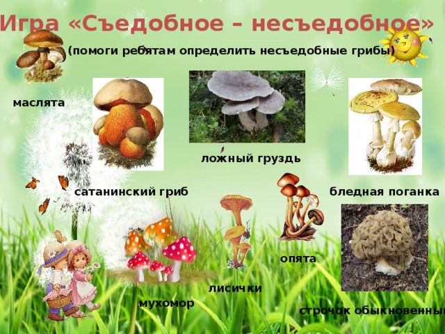 Игра «Съедобное – несъедобное» (помоги ребятам определить несъедобные грибы) маслята ложный груздь  сатанинский гриб бледная поганка опята лисички мухомор строчок обыкновенный 