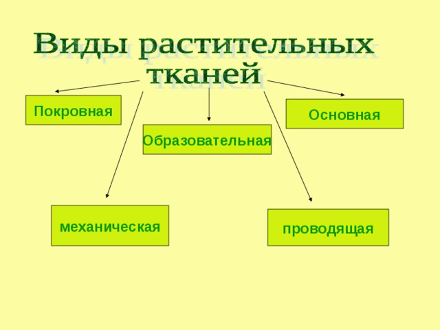 Покровная Основная Образовательная механическая проводящая 