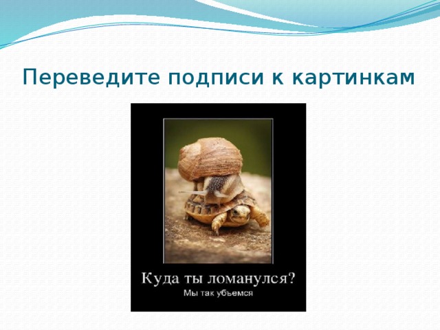 Переведите подписи к картинкам 