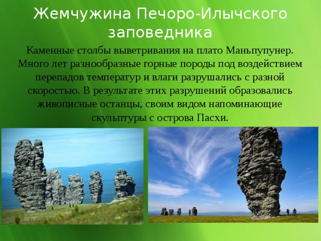 Жемчужина Печоро-Илычского заповедника Каменные столбы выветривания на плато Маньпупунер. Много лет разнообразные горные породы под воздействием перепадов температур и влаги разрушались с разной скоростью. В результате этих разрушений образовались живописные останцы, своим видом напоминающие скульптуры с острова Пасхи. 