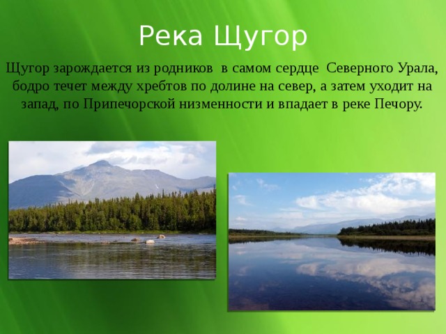 Река Щугор Щугор зарождается из родников  в самом сердце  Северного Урала, бодро течет между хребтов по долине на север, а затем уходит на запад, по Припечорской низменности и впадает в реке Печору.   