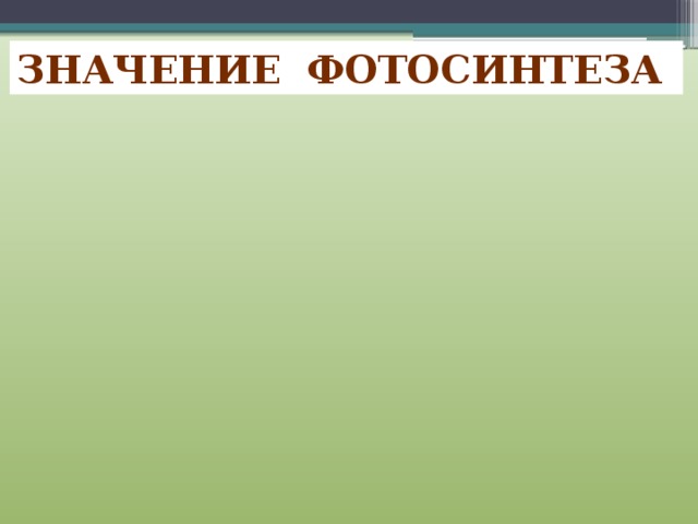 Значение фотосинтеза  