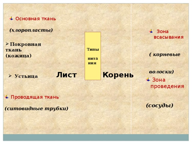  Основная ткань (хлоропласты)  Зона всасывания  ( корневые   волоски)  Типы питания Покровная ткань (кожица) Лист Корень  Устьица  Зона проведения  (сосуды)  Проводящая ткань (ситовидные трубки) 