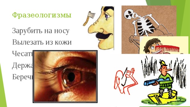 Фразеологизмы Зарубить на носу Вылезать из кожи Чесать языком Держать ухо востро Беречь как зеницу ока 