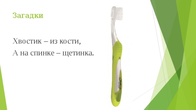Загадки Хвостик – из кости, А на спинке – щетинка. 