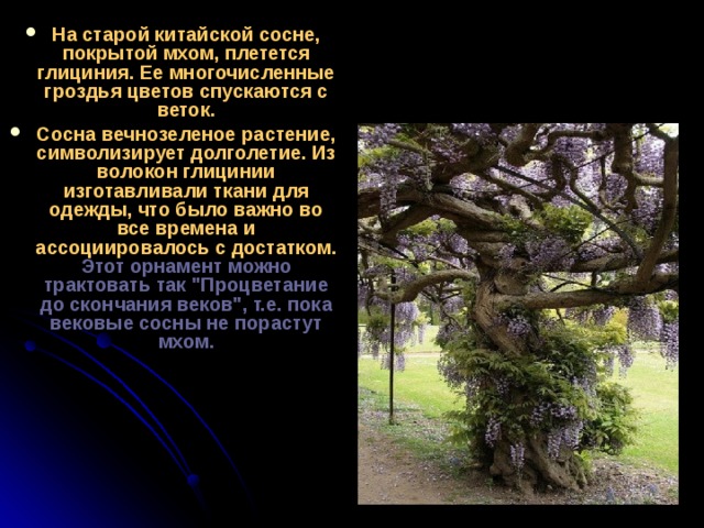 На старой китайской сосне, покрытой мхом, плетется глициния. Ее многочисленные гроздья цветов спускаются с веток. Сосна вечнозеленое растение, символизирует долголетие. Из волокон глицинии изготавливали ткани для одежды, что было важно во все времена и ассоциировалось с достатком. Этот орнамент можно трактовать так 