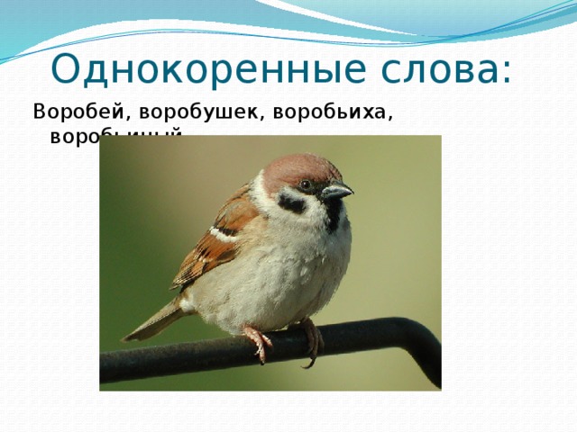Однокоренные слова: Воробей, воробушек, воробьиха, воробьиный. 