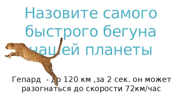 Назовите самого быстрого бегуна нашей планеты Гепард - до 120 км ,за 2 сек. он может разогнаться до скорости 72км/час   Гепард - до 120 км ,за 2 сек. он может разогнаться до скорости 72км/час    