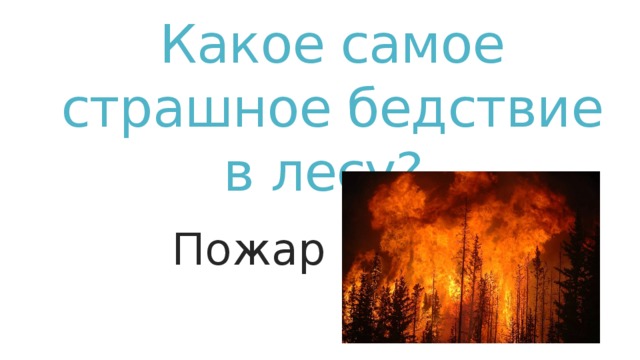 Какое самое страшное бедствие в лесу? Пожар Пожар  