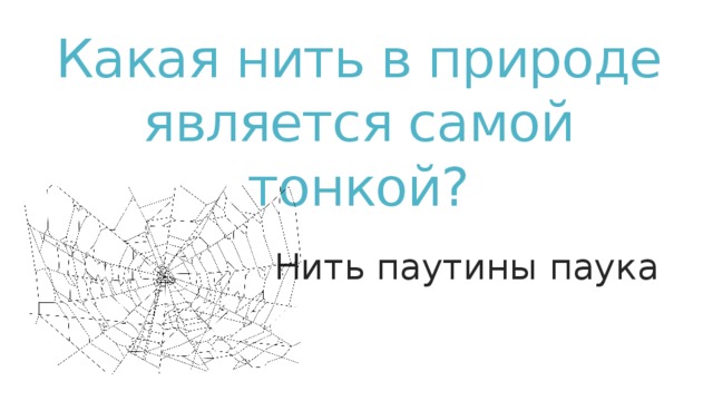 Какая нить в природе является самой тонкой? Нить паутины паука Нить паутины паука  