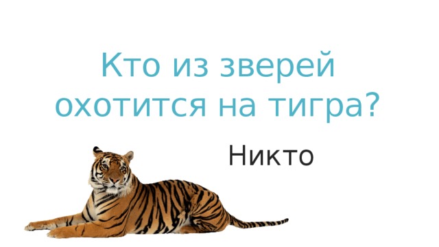 Кто из зверей охотится на тигра? Никто Никто  
