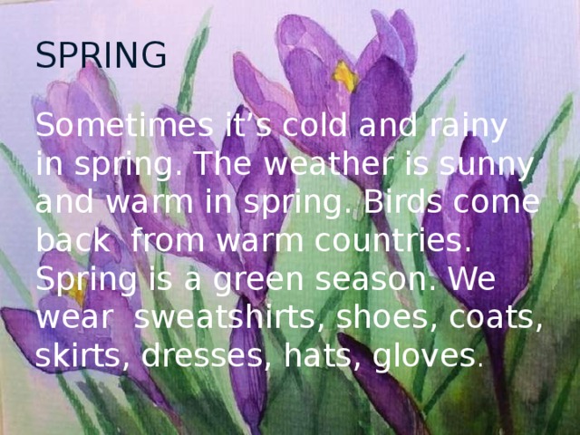SPRING Sometimes it’s cold and rainy in spring. The weather is sunny and warm in spring. Birds come back from warm countries. Spring is a green season. We wear sweatshirts, shoes, coats, skirts, dresses, hats, gloves . 