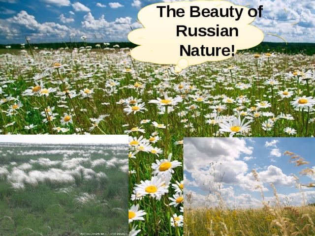  The Beauty of Russian Nature! 