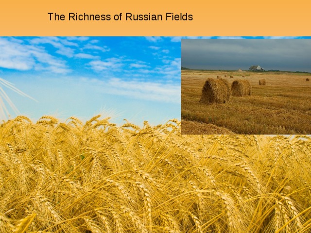  The Richness of Russian Fields 
