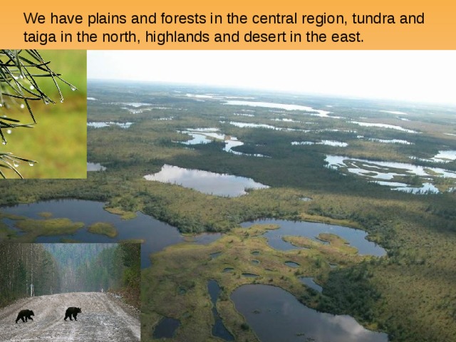 We have plains and forests in the central region, tundra and taiga in the north, highlands and desert in the east. 