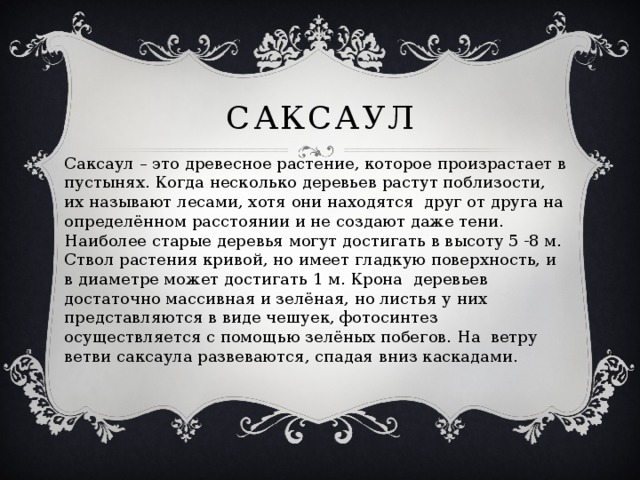 саксаул Саксаул – это древесное растение, которое произрастает в пустынях. Когда несколько деревьев растут поблизости, их называют лесами, хотя они находятся друг от друга на определённом расстоянии и не создают даже тени. Наиболее старые деревья могут достигать в высоту 5 -8 м. Ствол растения кривой, но имеет гладкую поверхность, и в диаметре может достигать 1 м. Крона деревьев достаточно массивная и зелёная, но листья у них представляются в виде чешуек, фотосинтез осуществляется с помощью зелёных побегов. На ветру ветви саксаула развеваются, спадая вниз каскадами. 