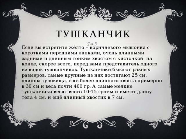 тушканчик Если вы встретите жёлто – коричневого мышонка с короткими передними лапками, очень длинными задними и длинным тонким хвостом с кисточкой на конце, скорее всего, перед вами представитель одного из видов тушканчиков. Тушканчики бывают разных размеров, самые крупные из них достигают 25 см, длинны туловища, ещё более длинного хвоста примерно в 30 см и веса почти 400 гр. А самые мелкие тушканчики весят всего 10-15 грамм и имеют длину тела 4 см, и ещё длинный хвостик в 7 см. 