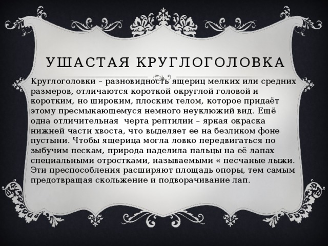 Ушастая круглоголовка Круглоголовки – разновидность ящериц мелких или средних размеров, отличаются короткой округлой головой и коротким, но широким, плоским телом, которое придаёт этому пресмыкающемуся немного неуклюжий вид. Ещё одна отличительная черта рептилии – яркая окраска нижней части хвоста, что выделяет ее на безликом фоне пустыни. Чтобы ящерица могла ловко передвигаться по зыбучим пескам, природа наделила пальцы на её лапах специальными отростками, называемыми « песчаные лыжи. Эти преспособления расширяют площадь опоры, тем самым предотвращая скольжение и подворачивание лап. 