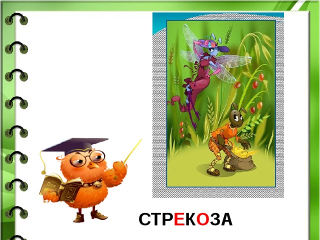 СТР Е К О ЗА