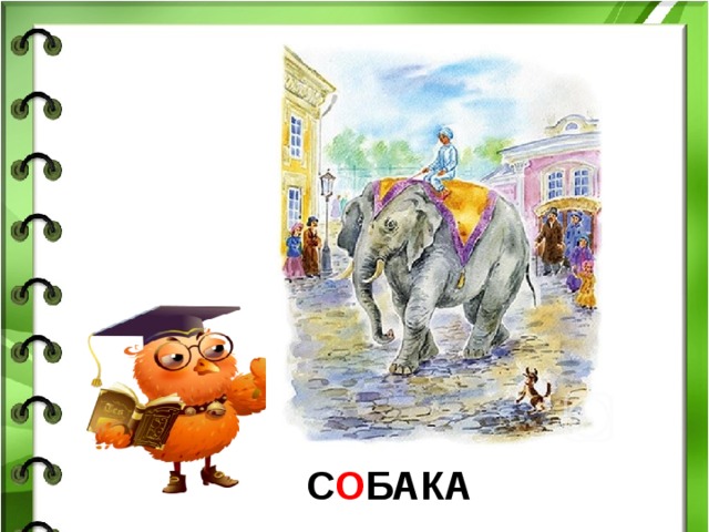 С О БАКА