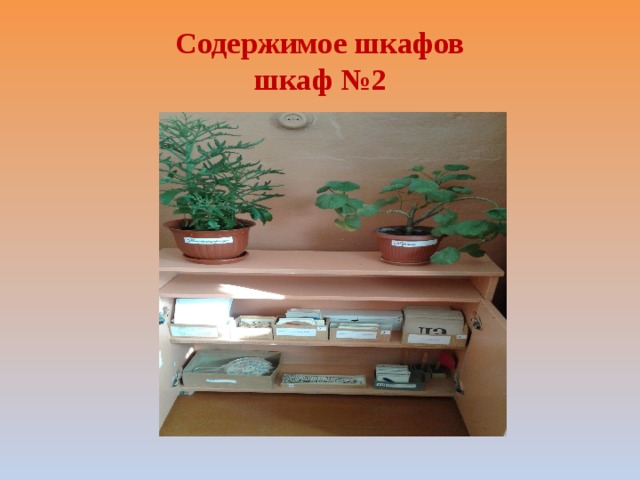 Содержимое шкафов  шкаф №2 