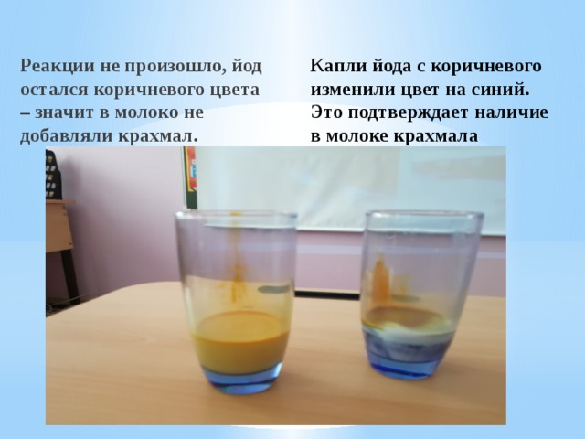 Капли йода с коричневого изменили цвет на синий. Это подтверждает наличие в молоке крахмала Реакции не произошло, йод остался коричневого цвета – значит в молоко не добавляли крахмал. 